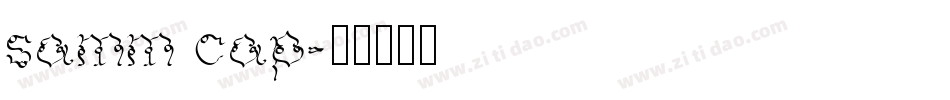 samm cap字体转换